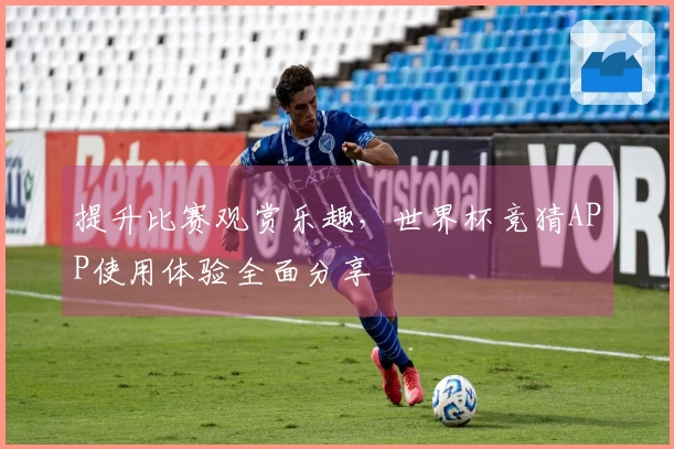 提升比赛观赏乐趣，世界杯竞猜APP使用体验全面分享