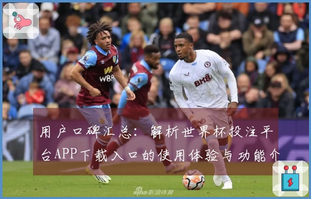 用户口碑汇总：解析世界杯投注平台APP下载入口的使用体验与功能介绍
