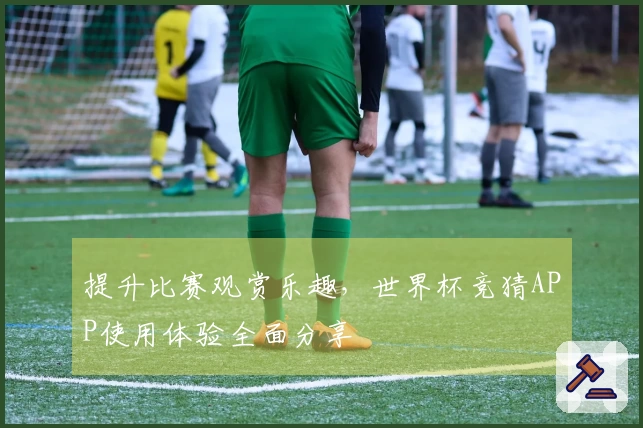 提升比赛观赏乐趣，世界杯竞猜APP使用体验全面分享