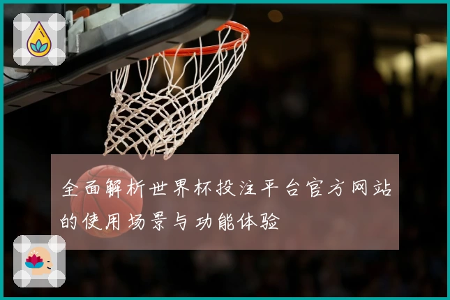 全面解析世界杯投注平台官方网站的使用场景与功能体验