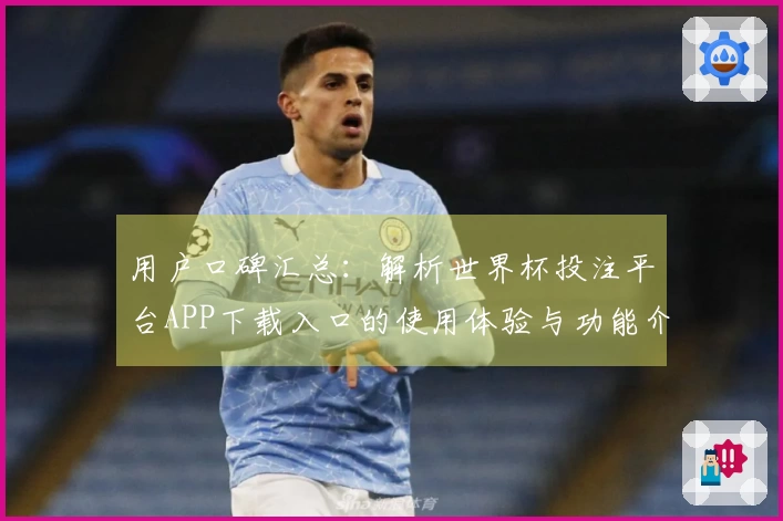 用户口碑汇总：解析世界杯投注平台APP下载入口的使用体验与功能介绍