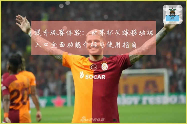 提升观赛体验：世界杯买球移动端入口全面功能介绍与使用指南